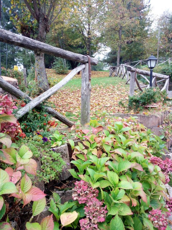 Il Castagno Bed & Breakfast มอนเตมอนาโก ภายนอก รูปภาพ