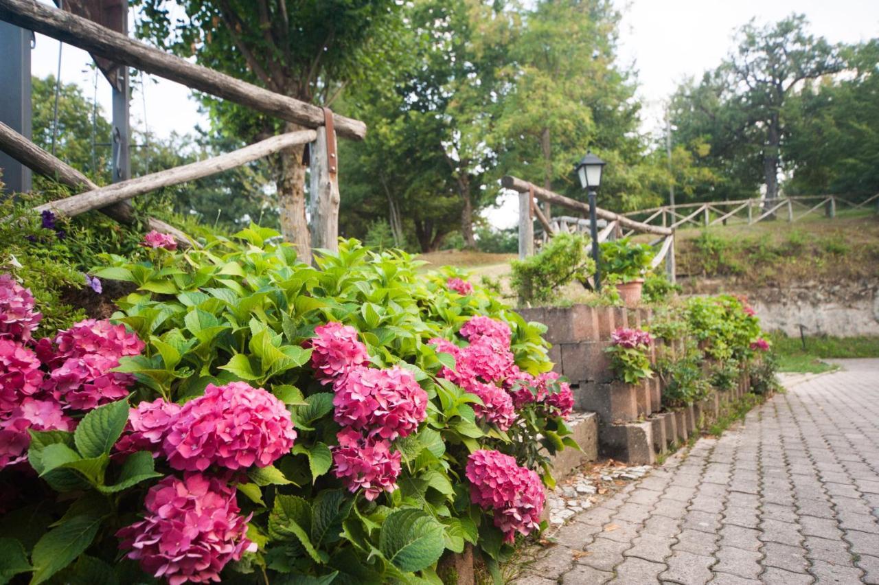 Il Castagno Bed & Breakfast มอนเตมอนาโก ภายนอก รูปภาพ